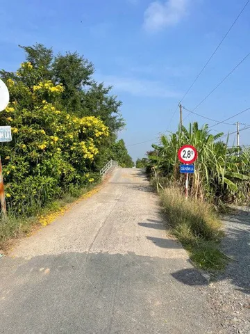 Bất động sản tại Long An - ảnh 1
