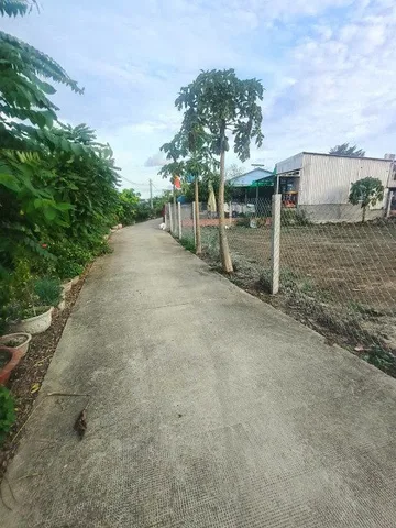 Bất động sản tại Tây Ninh - ảnh 1