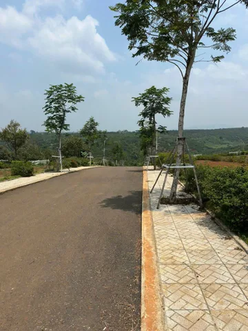 Bất động sản tại Lâm Đồng - ảnh 1