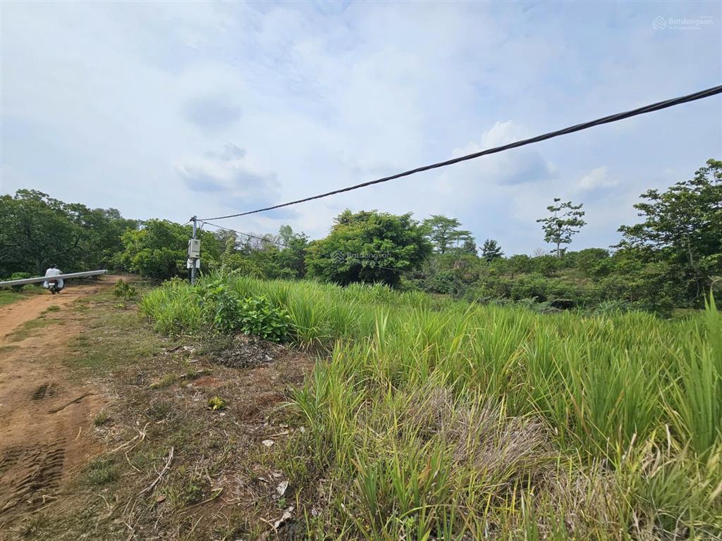 Bất động sản tại Đắk Lắk - ảnh 1