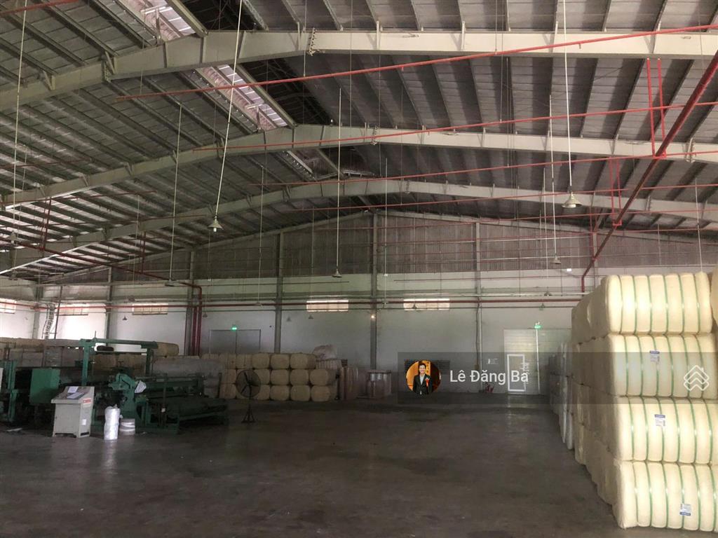 Bất động sản tại Bình Dương - ảnh 1