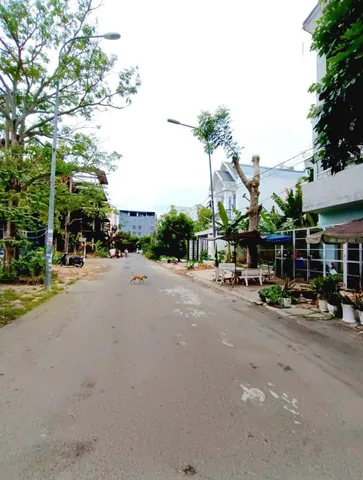 Bất động sản tại Cần Thơ - ảnh 1