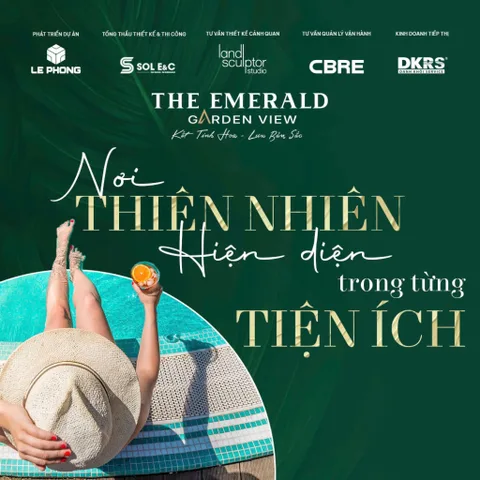 Bất động sản tại Bình Dương - ảnh 1