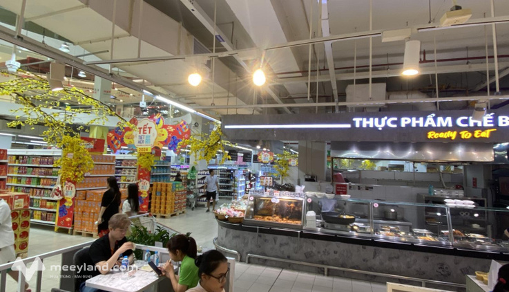 Bất động sản tại TP. Hồ Chí Minh - ảnh 1