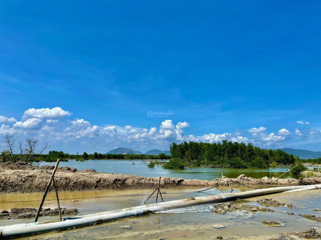 Bất động sản tại Bà Rịa - Vũng Tàu - ảnh 1