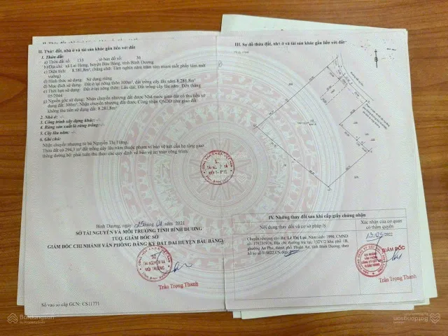 Bất động sản tại Bình Dương - ảnh 1