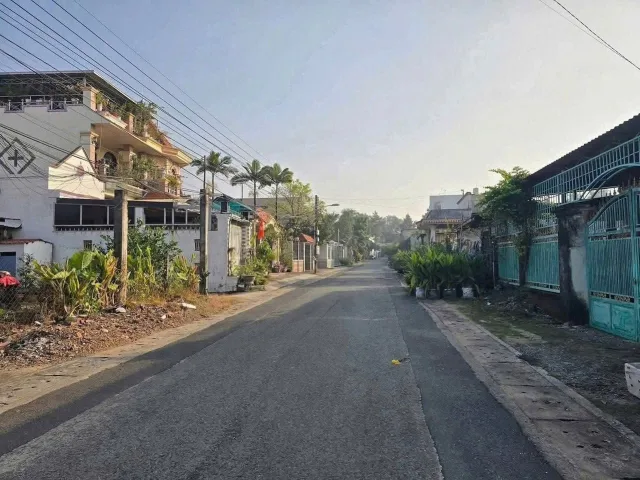 Bất động sản tại Bình Dương - ảnh 1