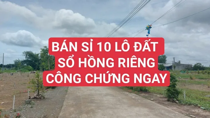 Bất động sản tại Long An - ảnh 1