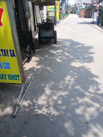 Bất động sản tại Tây Ninh - ảnh 1