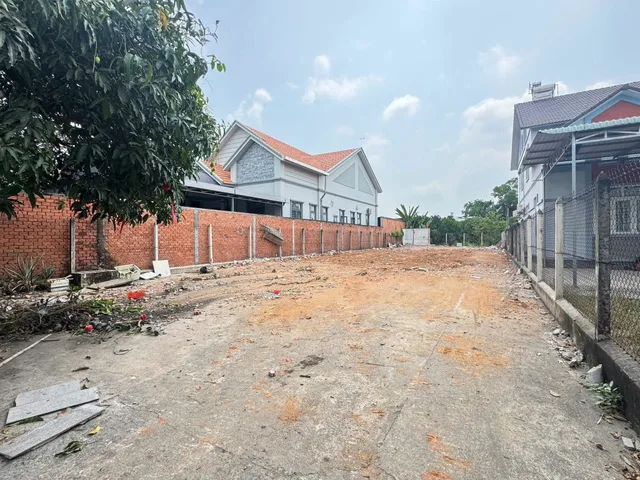 Bất động sản tại Bình Dương - ảnh 1