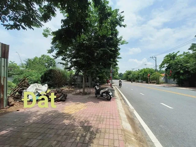 Bất động sản tại Bình Dương - ảnh 1