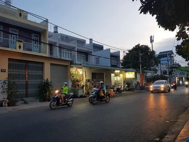 Bất động sản tại TP. Hồ Chí Minh - ảnh 1