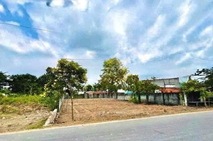 Bất động sản tại Bình Dương - ảnh 1