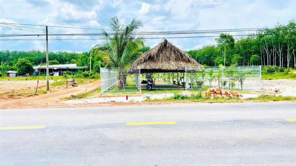 Bất động sản tại Bình Dương - ảnh 1