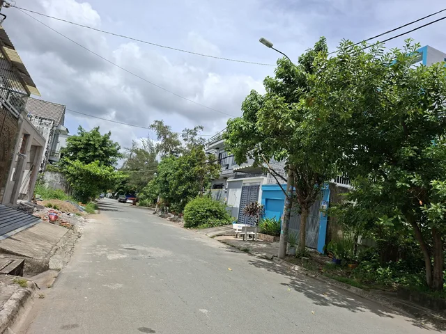 Bất động sản tại TP. Hồ Chí Minh - ảnh 1