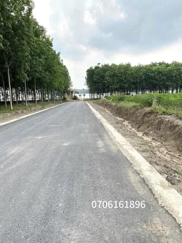 Bất động sản tại Đồng Nai - ảnh 1