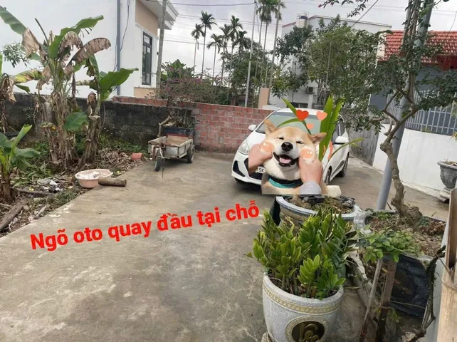 Bất động sản tại Hải Phòng - ảnh 1