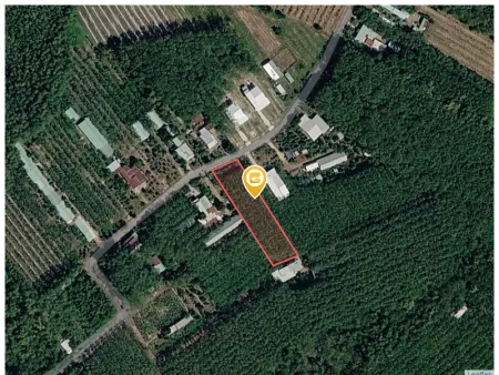 Bất động sản tại Bình Dương - ảnh 1