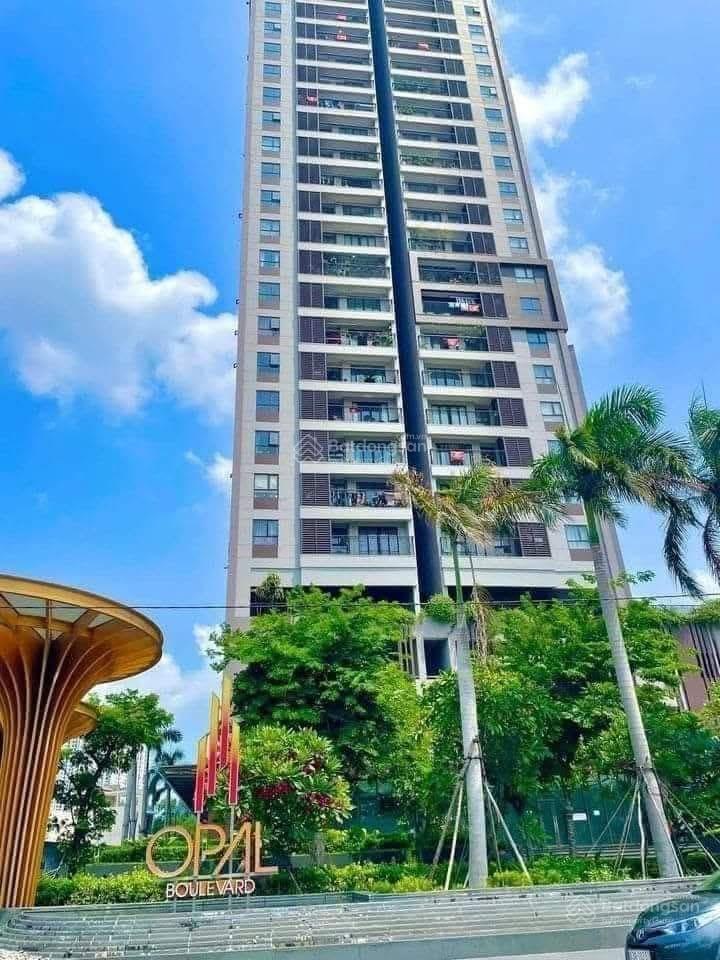 Bất động sản tại Bình Dương - ảnh 1