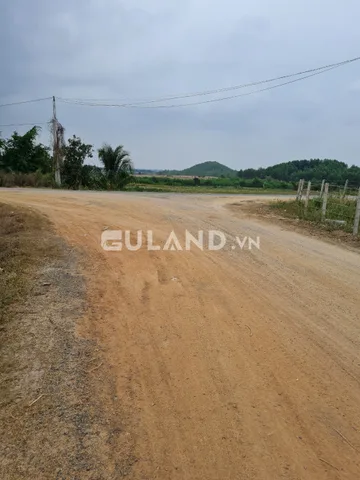 Bất động sản tại Khánh Hòa - ảnh 1