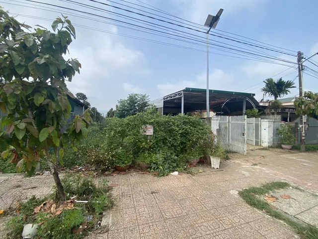 Bất động sản tại Lâm Đồng - ảnh 1