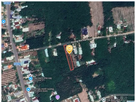 Bất động sản tại Bình Dương - ảnh 1
