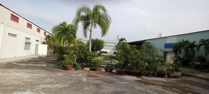 Bất động sản tại Long An - ảnh 1