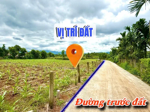 Bất động sản tại Đắk Lắk - ảnh 1