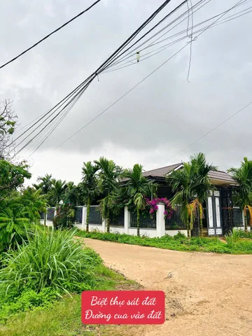 Bất động sản tại Đắk Lắk - ảnh 1