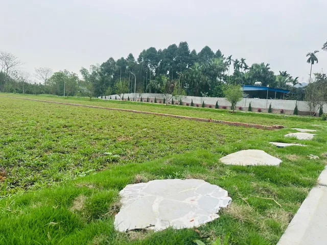 Bất động sản tại Hòa Bình - ảnh 1