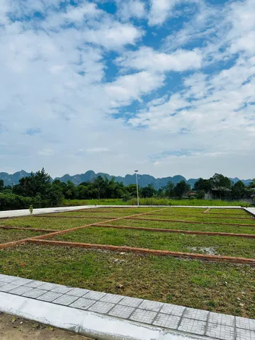 Bất động sản tại Phú Thọ - ảnh 1