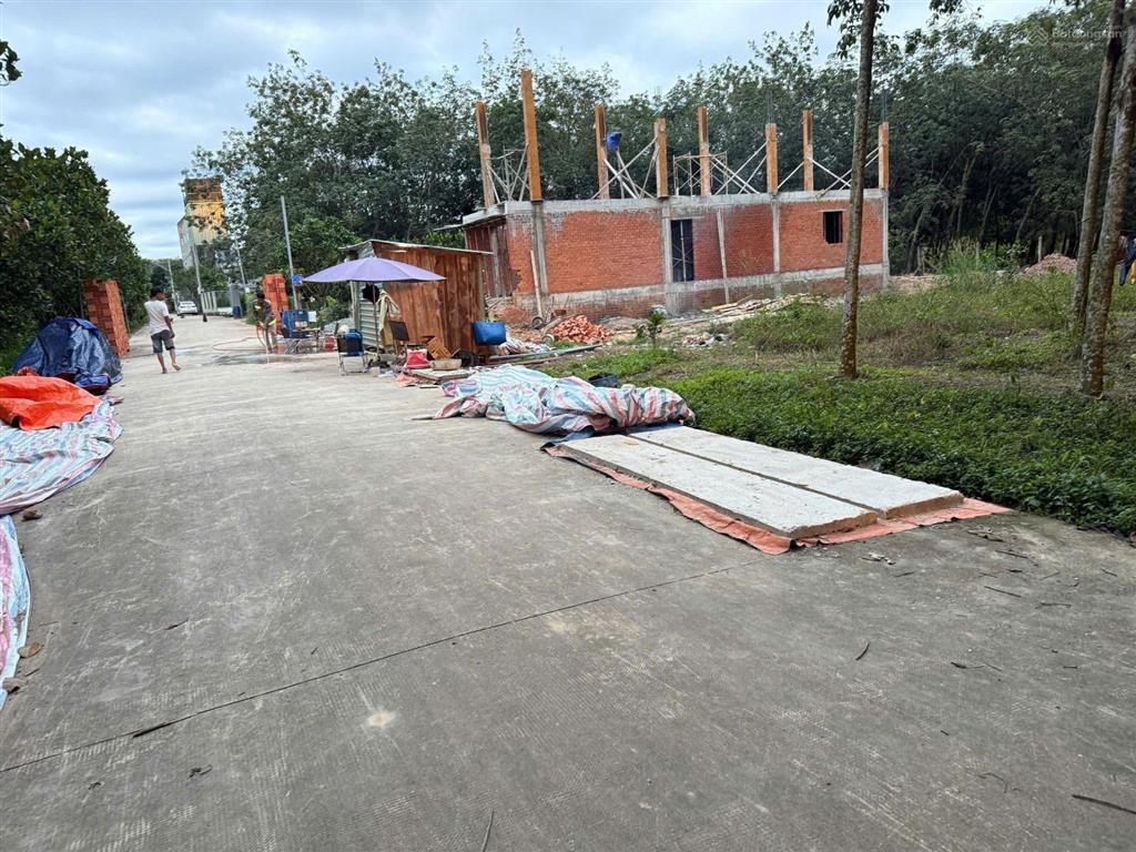 Bất động sản tại Bình Dương - ảnh 1