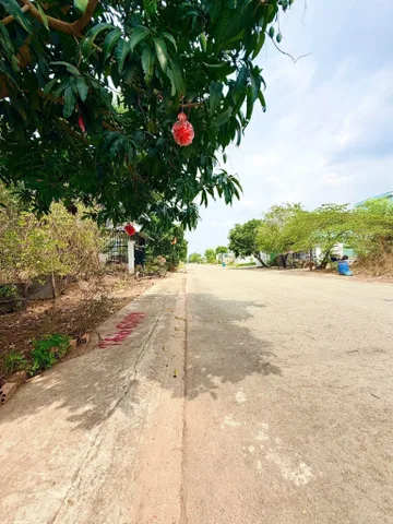 Bất động sản tại Bình Dương - ảnh 1