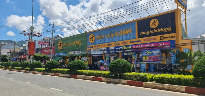 Bất động sản tại Lâm Đồng - ảnh 1