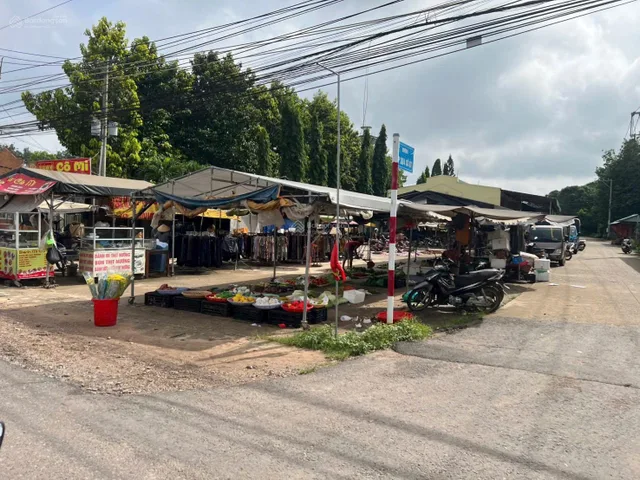 Bất động sản tại Bình Dương - ảnh 1