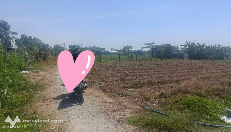 Bất động sản tại Bến Tre - ảnh 1
