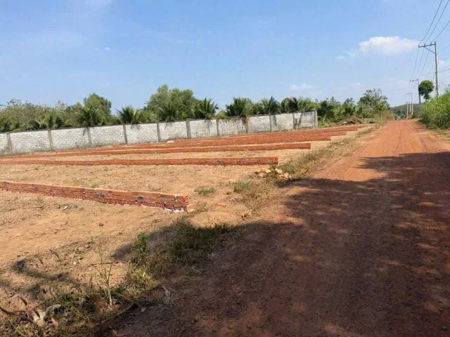 Bất động sản tại Bình Dương - ảnh 1