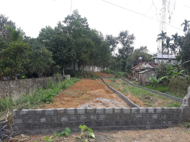 Bất động sản tại Phú Thọ - ảnh 1
