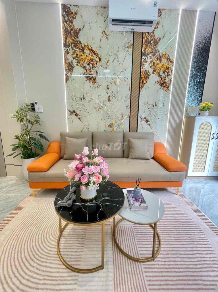 Nhà riêng tại Gò Vấp, TP. Hồ Chí Minh - ảnh 3