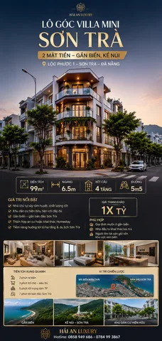 Bất động sản tại Đà Nẵng - ảnh 1