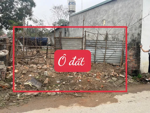Bất động sản tại Phú Thọ - ảnh 1
