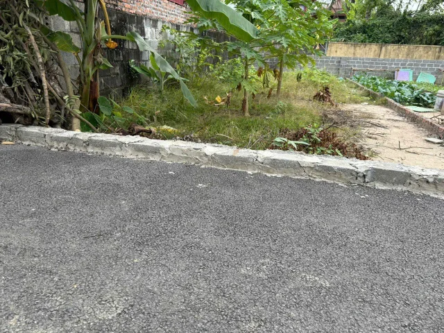 Bất động sản tại Hải Phòng - ảnh 1