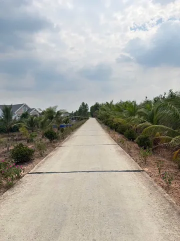 Bất động sản tại Long An - ảnh 1