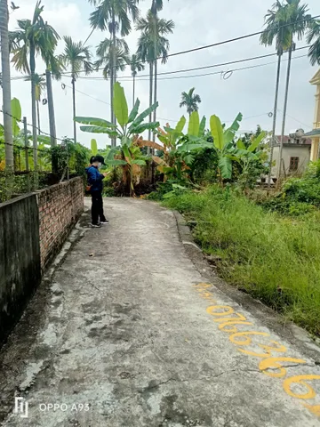 Bất động sản tại Hải Phòng - ảnh 1