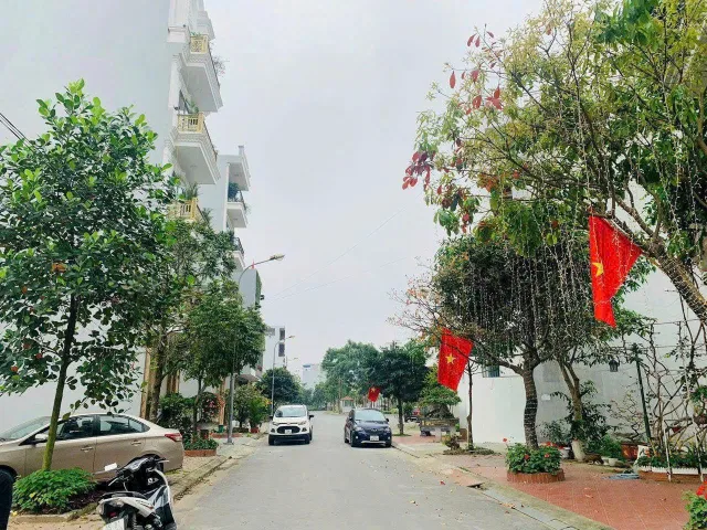 Bất động sản tại Hải Phòng - ảnh 1