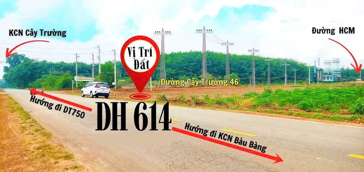 Bất động sản tại Bình Dương - ảnh 1
