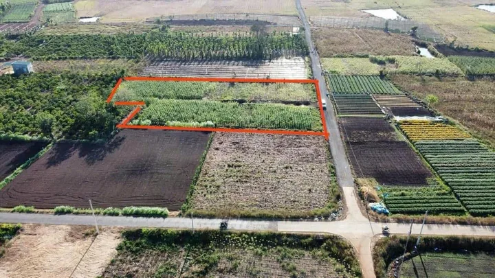 Bất động sản tại Đắk Lắk - ảnh 1