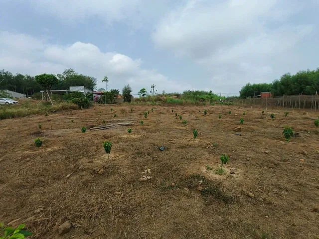 Bất động sản tại Bình Dương - ảnh 1