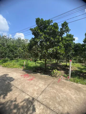 Bất động sản tại Bình Dương - ảnh 1