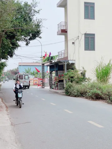 Bất động sản tại Hải Phòng - ảnh 1